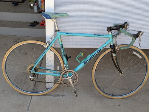 Bianchi alloro celeste italy - bianchi,