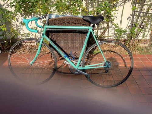 Bianchi sport 55 cm - sport, sx,