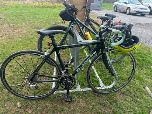 Bianchi dama valentina 49cm - dama,